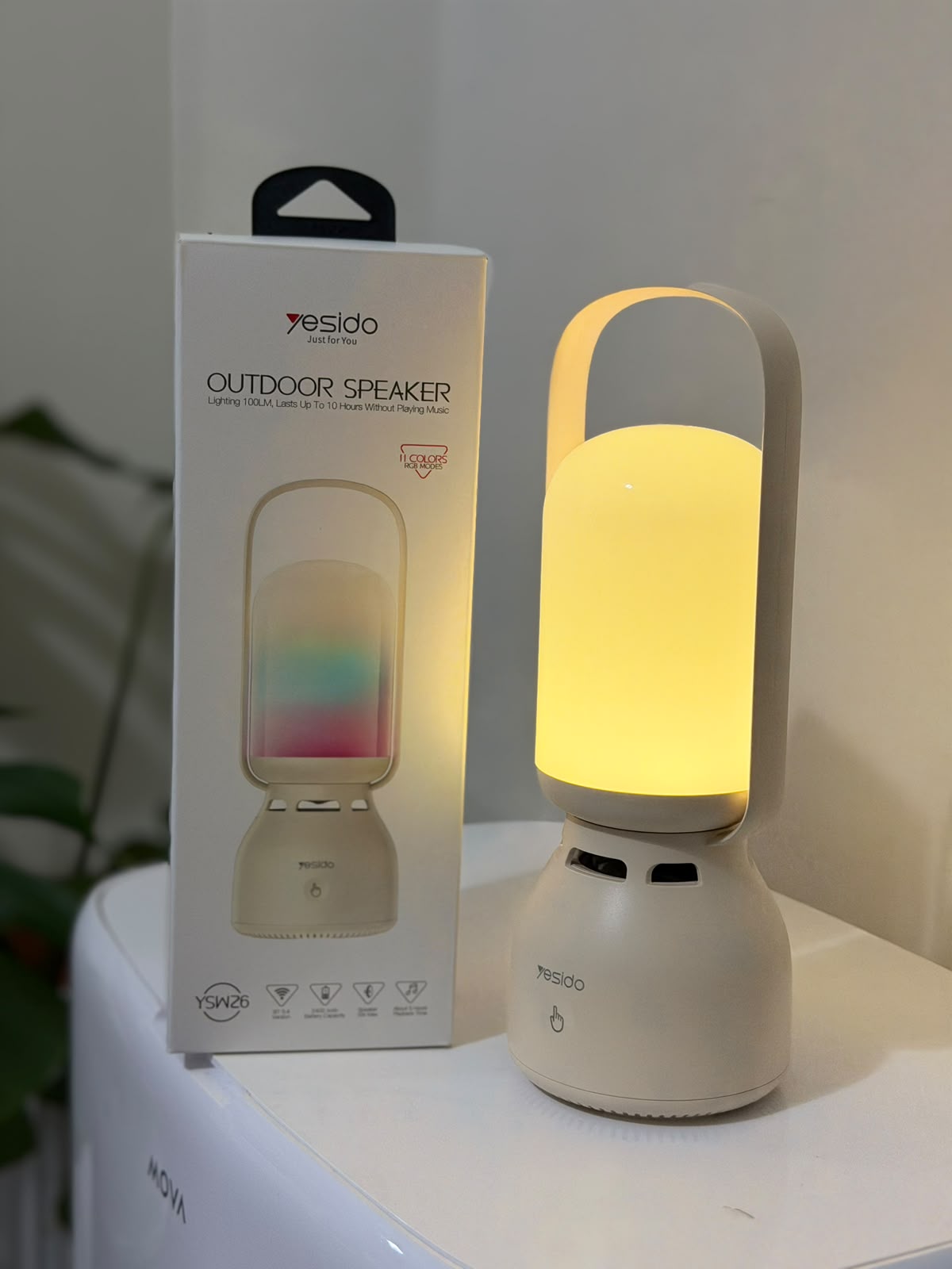 outdoor-speaker